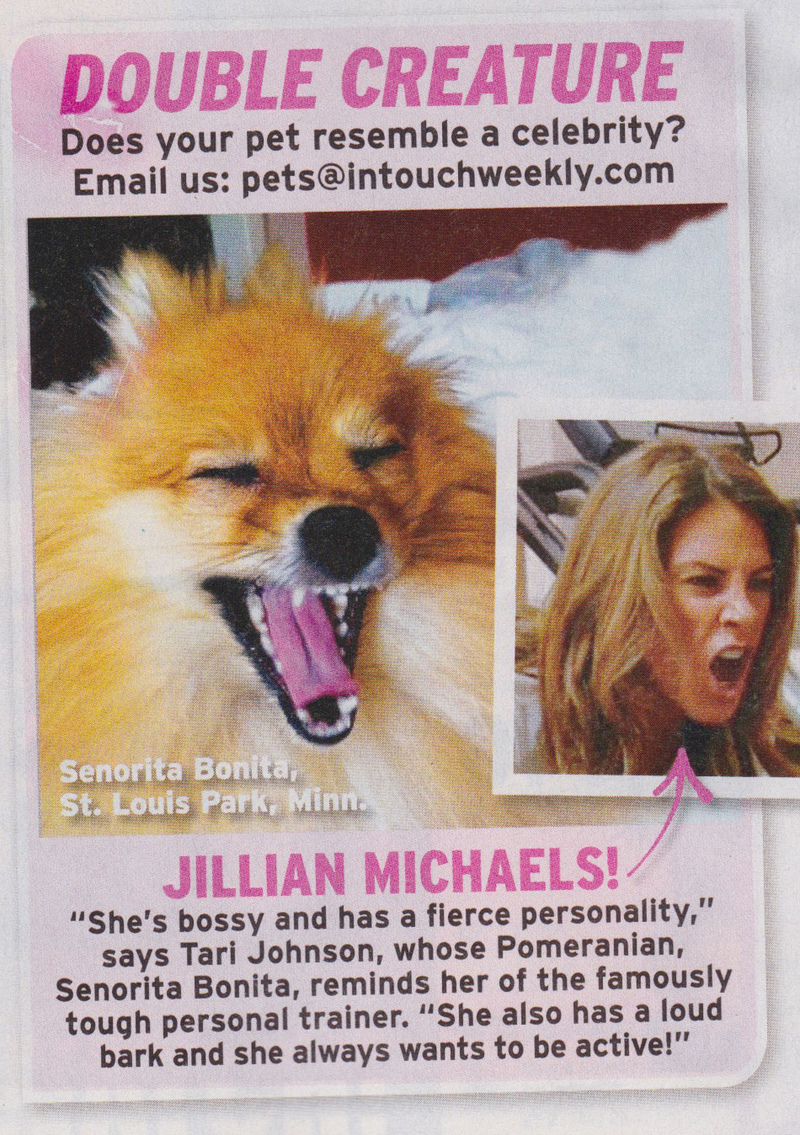 Illustration for article titled This Week In Tabloids: Amber Heard Could Be Pregnant With Johnny Depp's Baby